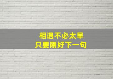 相遇不必太早只要刚好下一句