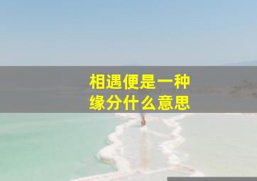 相遇便是一种缘分什么意思