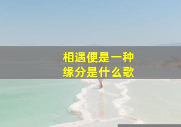 相遇便是一种缘分是什么歌