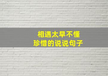 相遇太早不懂珍惜的说说句子