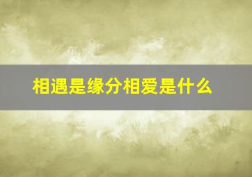 相遇是缘分相爱是什么