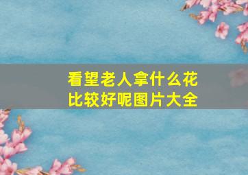 看望老人拿什么花比较好呢图片大全