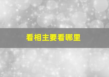 看相主要看哪里