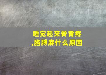 睡觉起来脊背疼,胳膊麻什么原因