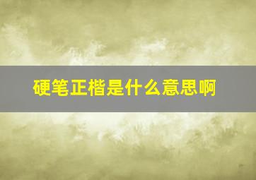 硬笔正楷是什么意思啊