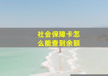 社会保障卡怎么能查到余额