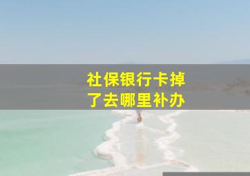 社保银行卡掉了去哪里补办