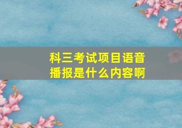 科三考试项目语音播报是什么内容啊