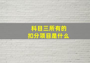 科目三所有的扣分项目是什么