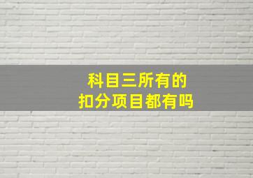 科目三所有的扣分项目都有吗