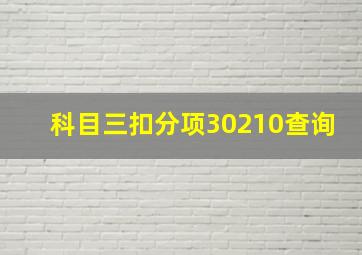 科目三扣分项30210查询