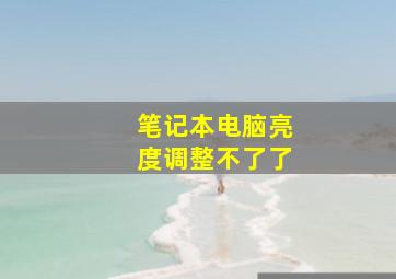 笔记本电脑亮度调整不了了