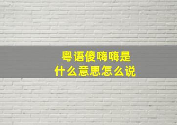 粤语傻嗨嗨是什么意思怎么说