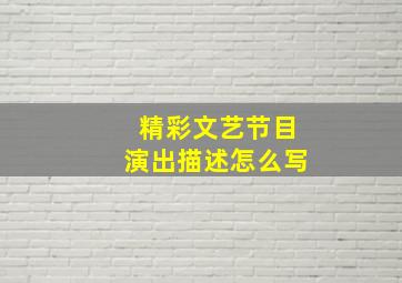 精彩文艺节目演出描述怎么写