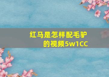 红马是怎样配毛驴的视频5w1CC