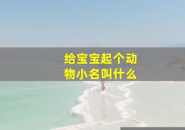 给宝宝起个动物小名叫什么