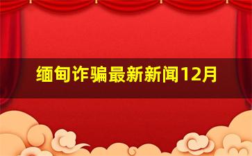 缅甸诈骗最新新闻12月