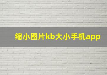 缩小图片kb大小手机app