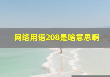 网络用语208是啥意思啊