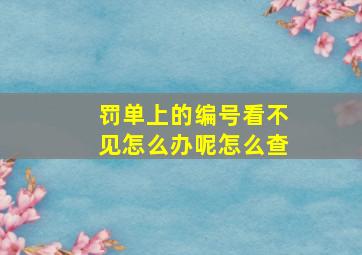 罚单上的编号看不见怎么办呢怎么查