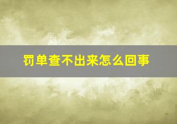 罚单查不出来怎么回事