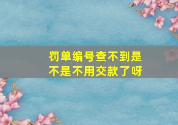 罚单编号查不到是不是不用交款了呀