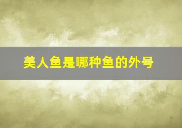 美人鱼是哪种鱼的外号