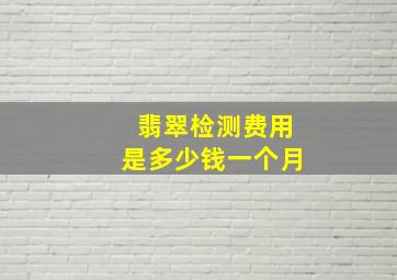 翡翠检测费用是多少钱一个月