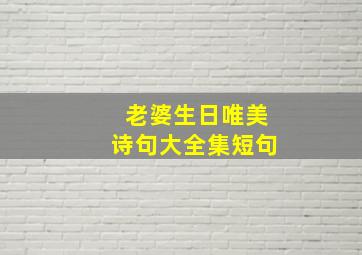 老婆生日唯美诗句大全集短句