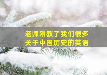 老师刚教了我们很多关于中国历史的英语