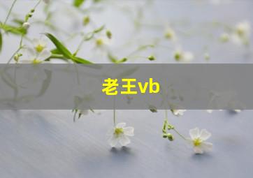 老王vb