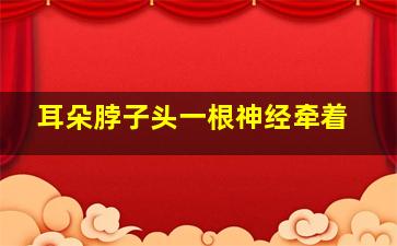 耳朵脖子头一根神经牵着