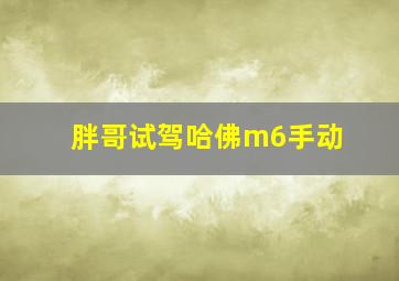 胖哥试驾哈佛m6手动