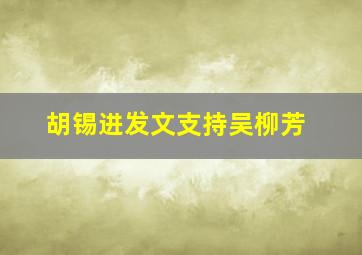 胡锡进发文支持吴柳芳