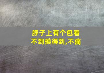 脖子上有个包看不到摸得到,不痛