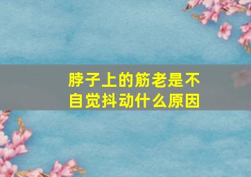 脖子上的筋老是不自觉抖动什么原因