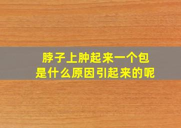 脖子上肿起来一个包是什么原因引起来的呢