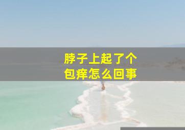 脖子上起了个包痒怎么回事