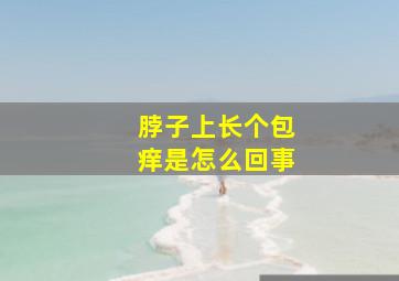 脖子上长个包痒是怎么回事