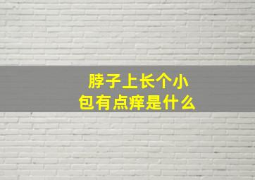 脖子上长个小包有点痒是什么