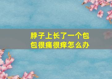 脖子上长了一个包包很痛很痒怎么办