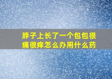 脖子上长了一个包包很痛很痒怎么办用什么药