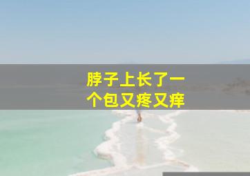 脖子上长了一个包又疼又痒