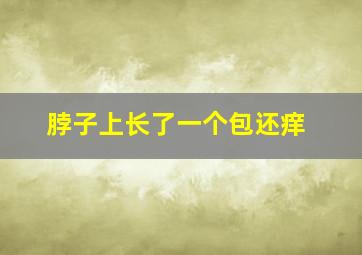 脖子上长了一个包还痒