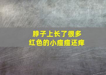 脖子上长了很多红色的小痘痘还痒