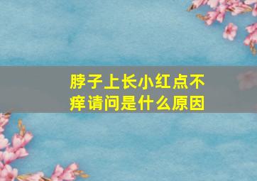 脖子上长小红点不痒请问是什么原因