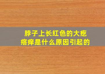 脖子上长红色的大疙瘩痒是什么原因引起的