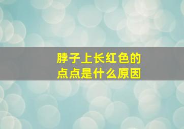 脖子上长红色的点点是什么原因