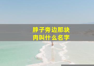 脖子旁边那块肉叫什么名字