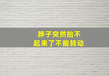 脖子突然抬不起来了不能转动